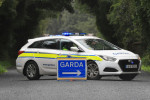The woman, aged her 80s, was pronounced dead at the scene (file image)